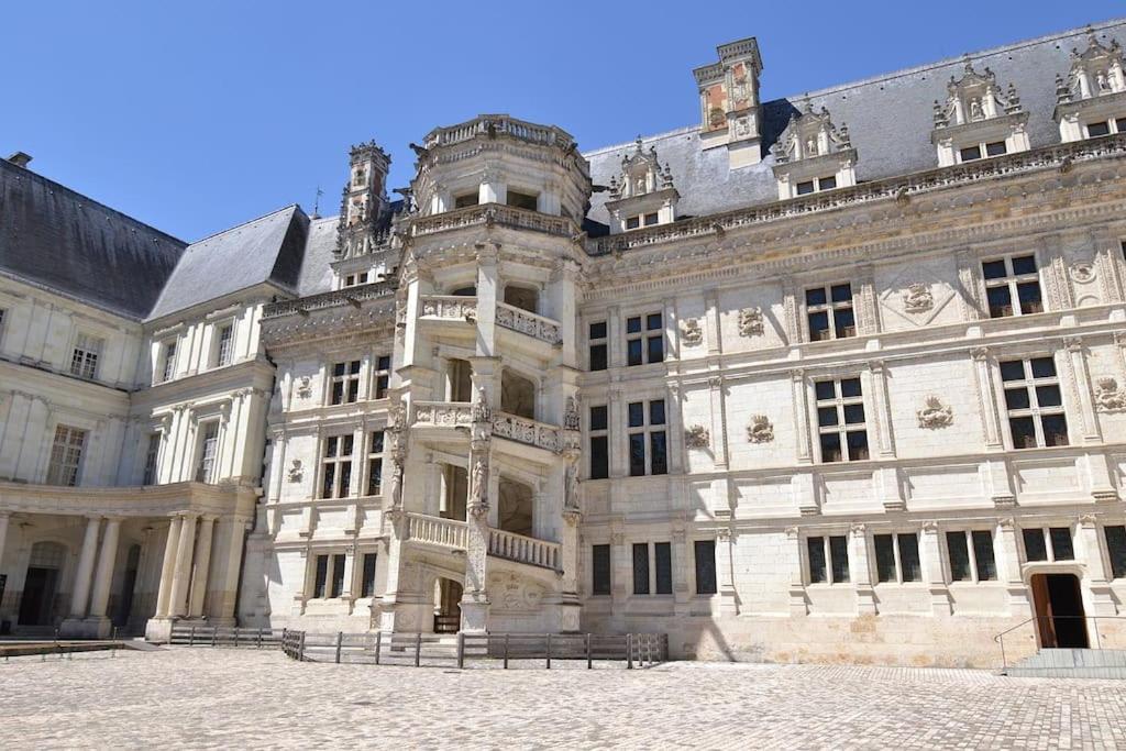 La Quintessence - Amboise Hypercentre Appartement Buitenkant foto